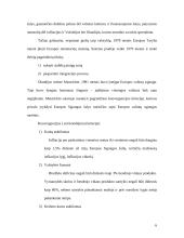 Euro įvedimas. Galimybės ir grėsmės 4 puslapis