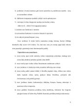 Euro įvedimas. Galimybės ir grėsmės 7 puslapis