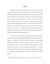 Euro įvedimas. Galimybės ir grėsmės 9 puslapis