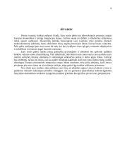 Euro įvedimo Lietuvoje problematikos analizė 9 puslapis