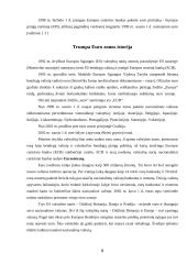 Euro zona ir jos formavimosi ypatybės 6 puslapis