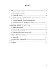 Eurooptimizmas, europesimizmas, eurorealizmas Lietuvoje: argumentų palyginimas 2 puslapis