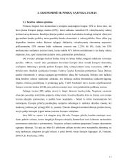 Eurooptimizmas, europesimizmas, eurorealizmas Lietuvoje: argumentų palyginimas 12 puslapis