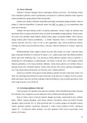 Eurooptimizmas, europesimizmas, eurorealizmas Lietuvoje: argumentų palyginimas 13 puslapis