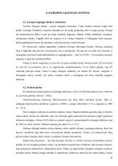 Eurooptimizmas, europesimizmas, eurorealizmas Lietuvoje: argumentų palyginimas 17 puslapis