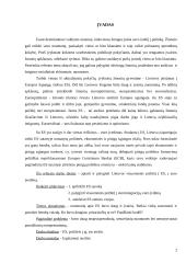 Eurooptimizmas, europesimizmas, eurorealizmas Lietuvoje: argumentų palyginimas 3 puslapis