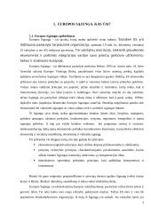 Eurooptimizmas, europesimizmas, eurorealizmas Lietuvoje: argumentų palyginimas 4 puslapis