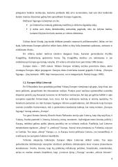 Eurooptimizmas, europesimizmas, eurorealizmas Lietuvoje: argumentų palyginimas 5 puslapis