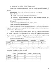 Eurooptimizmas, europesimizmas, eurorealizmas Lietuvoje: argumentų palyginimas 9 puslapis