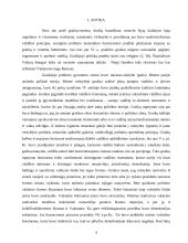 Europinio politinio mentaliteto ypatumai 4 puslapis