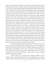 Europinio politinio mentaliteto ypatumai 5 puslapis