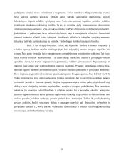 Europinio politinio mentaliteto ypatumai 6 puslapis