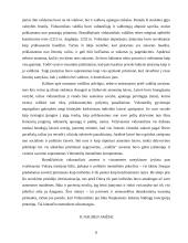 Europinio politinio mentaliteto ypatumai 8 puslapis