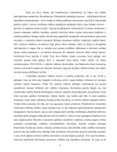 Europinio politinio mentaliteto ypatumai 9 puslapis