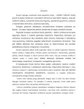 Europos Sąjungos (ES) struktūrinių fondų parama Lietuvai 11 puslapis