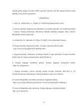 Europos Sąjungos (ES) struktūrinių fondų parama Lietuvai 12 puslapis