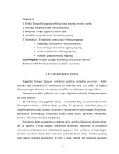 Europos Sąjungos (ES) struktūrinių fondų parama Lietuvai 4 puslapis