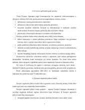 Europos Sąjungos (ES) struktūrinių fondų parama Lietuvai 7 puslapis