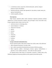 Europos Sąjungos (ES) struktūrinių fondų parama Lietuvai 8 puslapis