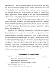 Europos Sąjungos (ES) užsienio politika 5 puslapis