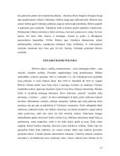 Fašizmo idėjos 12 puslapis