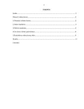 Fiksuoto keitimo kurso sistemos 2 puslapis