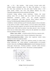 Fiksuotų ir plaukiojančių valiutų kursai 5 puslapis
