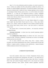 Fiksuotų ir plaukiojančių valiutų kursai 6 puslapis