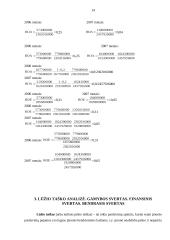 Finansinė analizė: AB "Lietuvos dujos" 14 puslapis