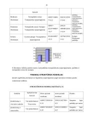 Finansinė analizė: AB "Lietuvos dujos" 10 puslapis
