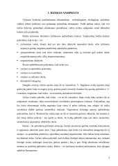 Finansinė rizika 2 puslapis