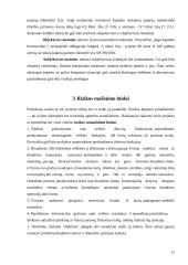 Finansinė rizika 11 puslapis