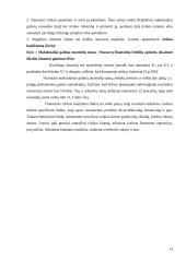 Finansinė rizika 12 puslapis