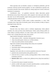 Finansinė rizika 3 puslapis