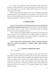 Finansinė rizika 4 puslapis
