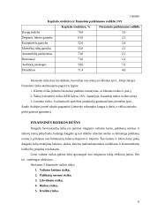 Finansinė rizika 5 puslapis