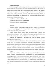 Finansinė rizika 6 puslapis