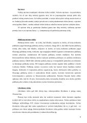 Finansinė rizika 7 puslapis