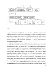 Finansinė rizika 9 puslapis