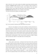Finansinė rizika 10 puslapis