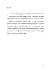 Firmos pasiūla 2 puslapis