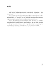 Firmos pasiūla 12 puslapis