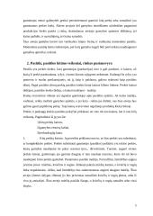 Firmos pasiūla 5 puslapis