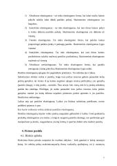 Firmos pasiūla 7 puslapis