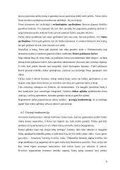 Firmos pasiūla 8 puslapis