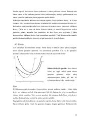 Firmos pasiūla 10 puslapis