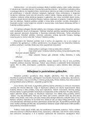 Šalies fiskalinė politika 3 puslapis