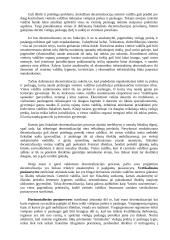 Šalies fiskalinė politika 6 puslapis