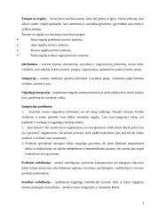 Fizinę negalią turinčių žmonių įdarbinimo politika Lietuvoje 3 puslapis