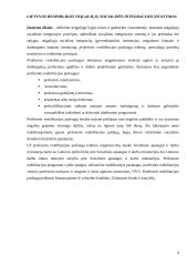 Fizinę negalią turinčių žmonių įdarbinimo politika Lietuvoje 4 puslapis